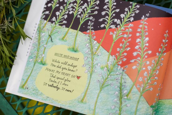 whitewildindigo-2261